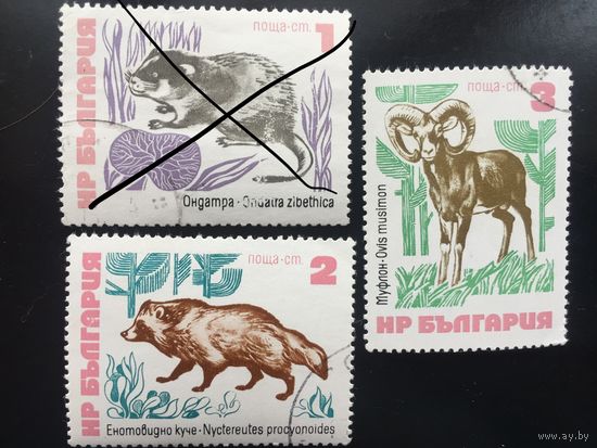 Болгария 1973 год. Фауна