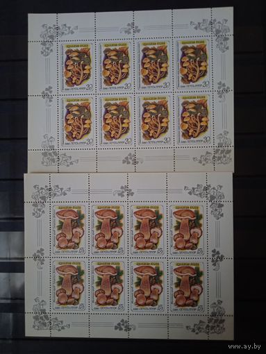 СССР.1986г.Грибы.М/Л.