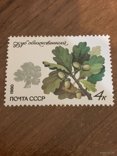 СССР 1980. Дуб обыкновенный. Марка из серии
