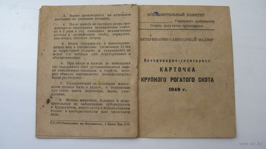 1950 г. Карточка коровы