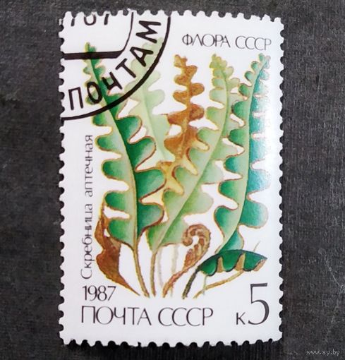Марка СССР 1987 год Папоротник