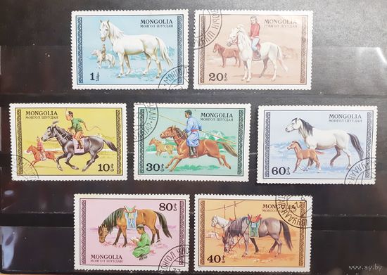 Монголия. 1977 год. Фауна. Лошади. Всадники (1313)