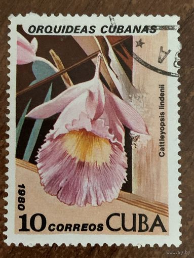 Куба 1980. Орхидеи. Марка из серии