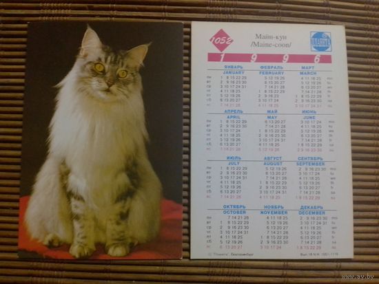 Карманный календарик.Котик.1996 год
