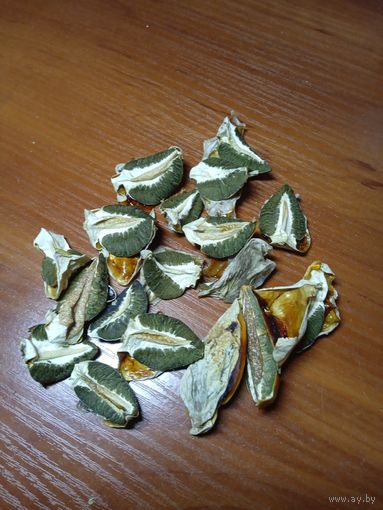 Гриб Веселка сухая