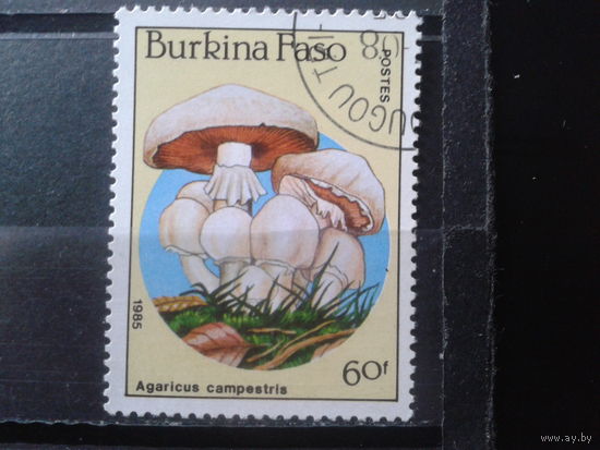 Буркина Фасо 1985 Грибы
