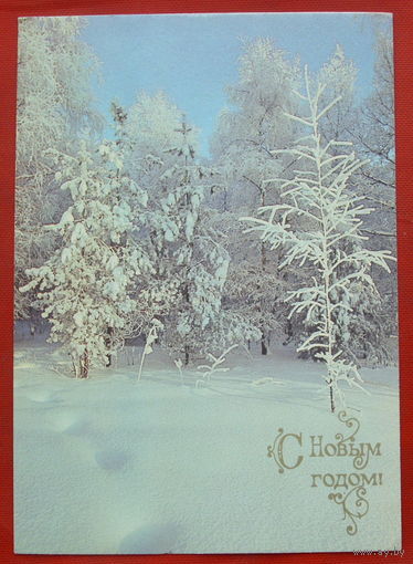 С новым годом! Чистая. 1990 года. Буркина. 1224.