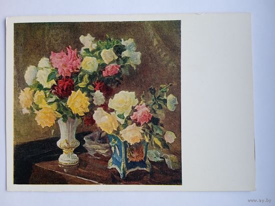 1960. цветы. Мясникова. Розы