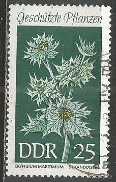 ГДР. Цветы. Синеголовик приморский. 1969г. Mi#1460.