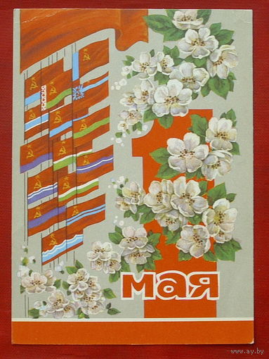 1 мая! Чистая. 1971 года. Дергилев. #223.