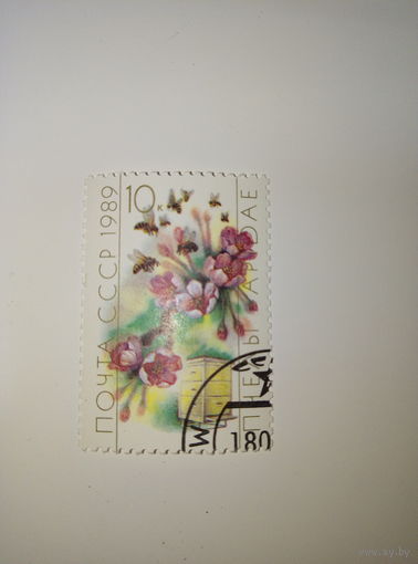 Марки СССР 1989 ПЧЁЛЫ 10к.