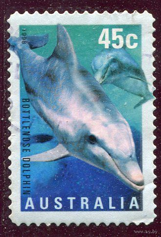 Австралия. Морская фауна