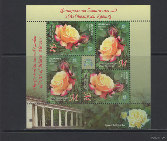 Флора цветы Беларусь 2014 Центральный ботанический сад "Роза"Глория Дей"