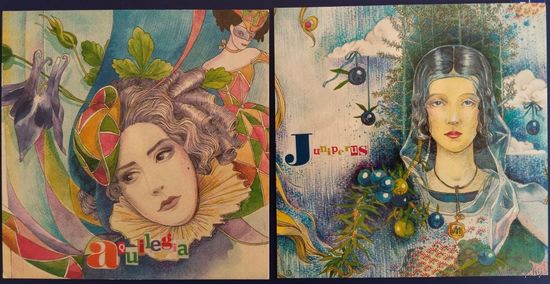 Гербарий в лицах. Худ.Н.Никулина. 2 шт. Россия. 2014 г.