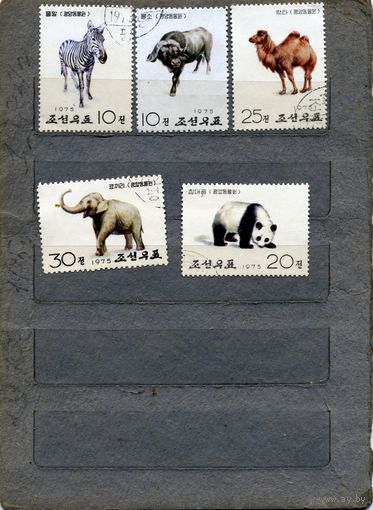 КНДР, 1975, фауна   серия 5м , гашен