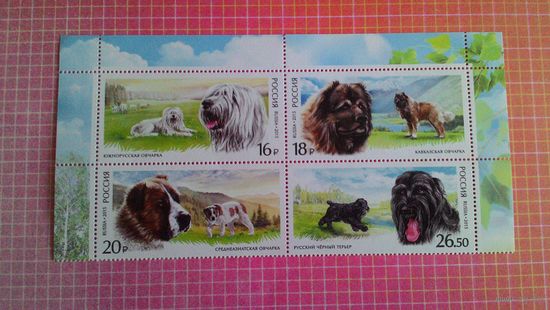 Россия, 2015. Марки серии "Служебные породы собак". Верхняя часть листа.