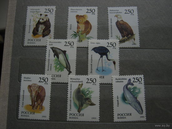 Марки - Россия, 1993 - фауна, панда, орел, аист, слон, кит, коала и др.