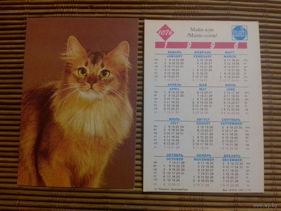 Карманный календарик.Котик.1996 год