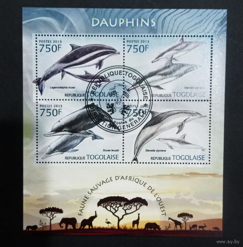 ФАУНА РЫБЫ МОРСКИЕ ОБИТАТЕЛИ    БЛОК  сто