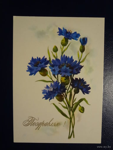 Поздравляю! Васильки. 1974 г. подписанная.