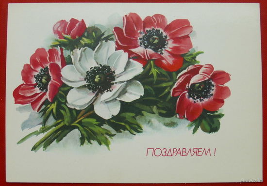 Поздравляем! Чистая.  1991 года. Коровина. 544.