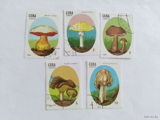 Куба  1988 5 м  грибы