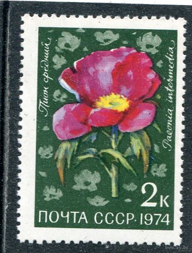 СССР 1974. Цветы. Пион