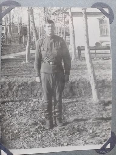 Фото в коллекцию