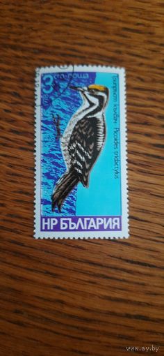Болгария. Дятел. 1978г. гашеная