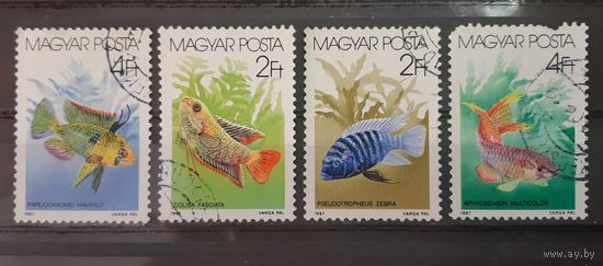 Венгрия. 1987 год. Фауна. Рыбы (4 марки из серии. 1 марка с повреждением перфорации)