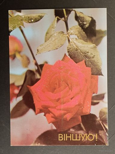 Вiншую! Беларусь 1990