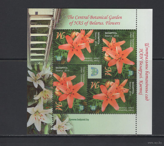 Флора цветы Беларусь 2014 Центральный ботанический сад "Лилия"Зоренька"