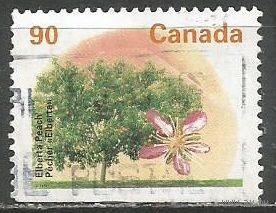 Канада. Фруктовое дерево. Персик. 1995г. Mi#1499 D.