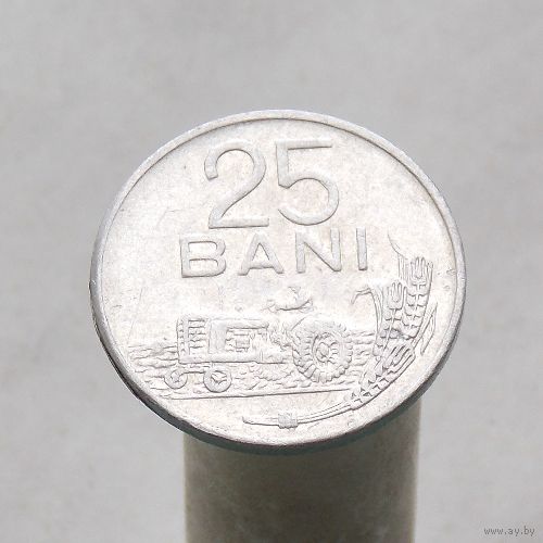 Румыния Социалистическая Республика 25 бани 1982