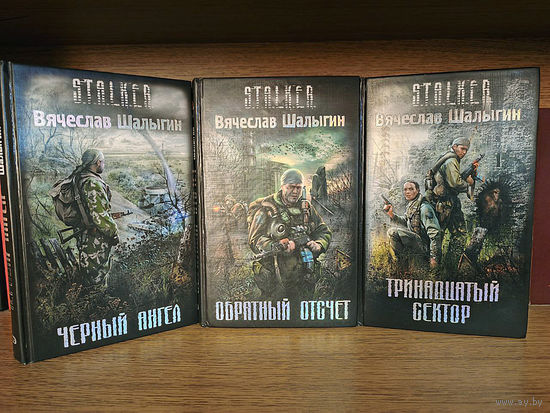 Серия книг S.T.A.L.K.E.R. Вячеслава Шалыгина