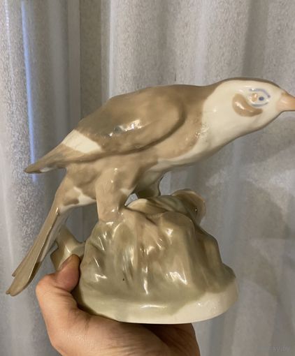 Ястреб (Городница) 1940-50 годы