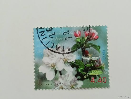 Эстония 2002. Весна. Полная серия