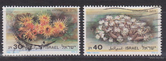 Флора Кораллы Красного моря Израиль 1986 год лот 15 Серия без 1 марки Менее 29 % От каталога по курсу 3 р