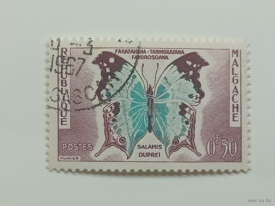Мадагаскар 1960. Бабочки