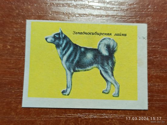 Спичечная этикетка Западносибирская лайка
