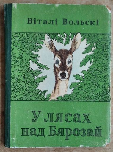 Віталі Вольскі. У лясах над Бярозай: нарысы. 1955 г.