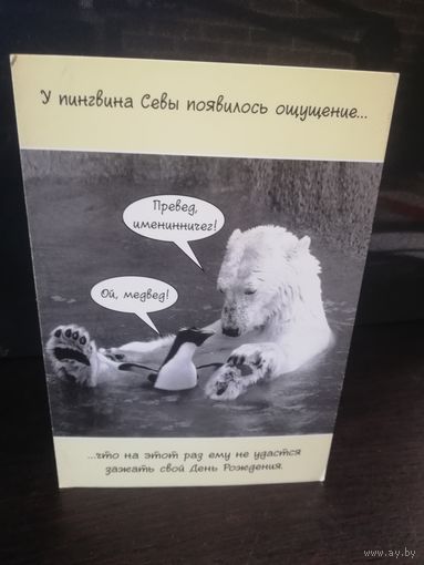 Открытка Белый медведь