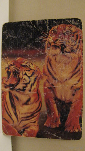 Календарик. Цирк. 1982г.