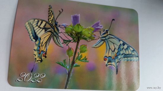 Календарик. пара бабочек.2022 год