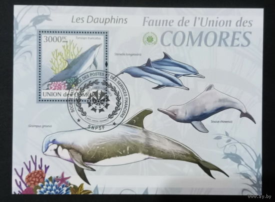 ФАУНА РЫБЫ МОРСКИЕ ОБИТАТЕЛИ    БЛОК  сто