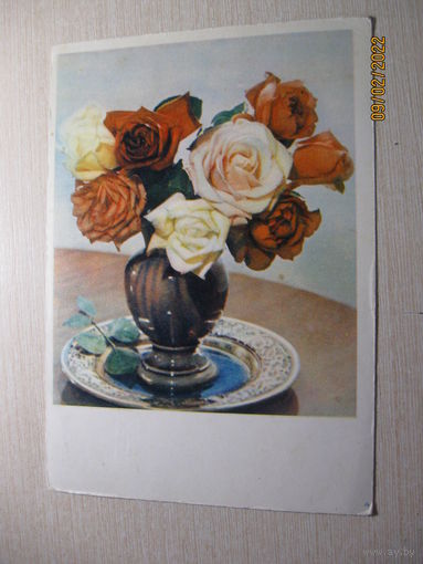 Шагина И. 1955 г.