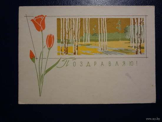 Поздравляю!  Березки.  1963 г.  подписанная.