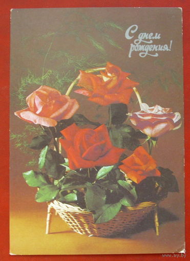 С днём рождения! Чистая. 1984 года. Круцко. 1663.