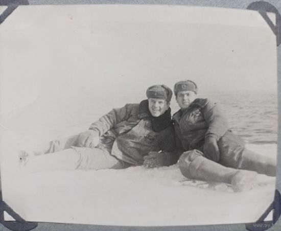 Фото в коллекцию