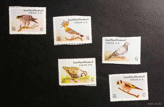 Сирия 1978 г. Птицы. Фауна, полная серия из 5 марок. Чистая #0238-Ф1P46